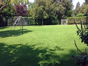 Artificial Grass Photos: Artificial Grass Carpet Biggs Junction, Oregon Backyard Sports, Backyard Landscaping