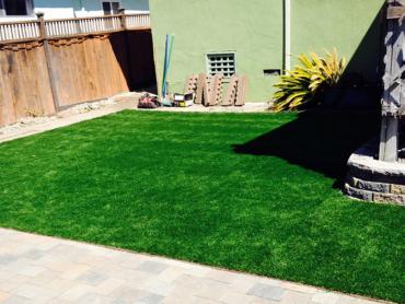 Artificial Grass Photos: Artificial Grass Carpet Canby, Oregon Dogs, Backyard Design