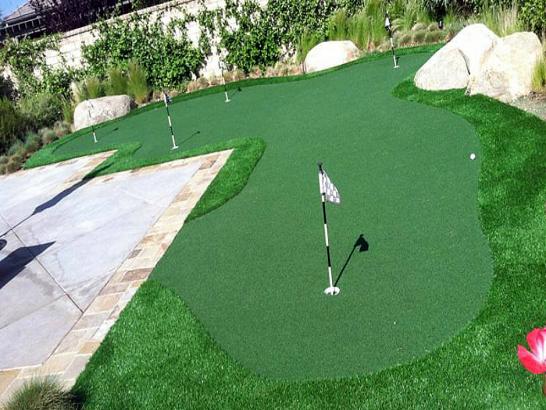 Artificial Grass Photos: Artificial Grass Carpet Hubbard, Oregon How To Build A Putting Green, Backyard Landscape Ideas