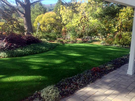 Artificial Grass Photos: Artificial Grass Carpet Irrigon, Oregon Landscaping Business, Backyard Designs