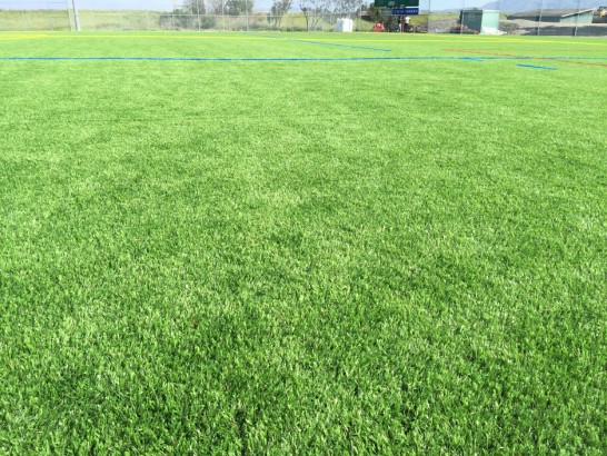 Artificial Grass Photos: Artificial Grass Carpet Maupin, Oregon Lawns