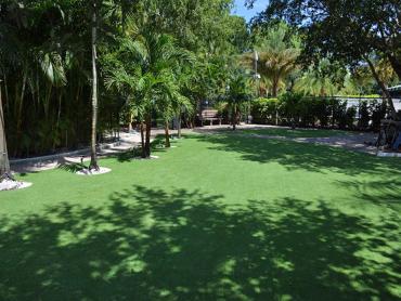 Artificial Grass Photos: Artificial Grass Carpet Seaside, Oregon Landscaping Business, Commercial Landscape