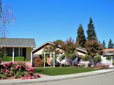 Artificial Grass Photos: Artificial Grass Carpet Summit, Oregon Lawns, Landscaping Ideas For Front Yard