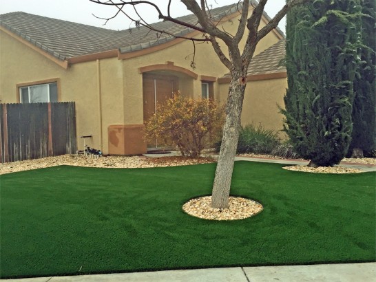 Artificial Grass Photos: Artificial Grass Carpet Toledo, Oregon Backyard Deck Ideas, Small Front Yard Landscaping