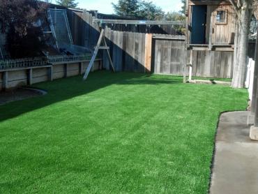 Artificial Grass Photos: Artificial Grass Carpet Wapanitia, Oregon Landscape Ideas, Backyard Landscape Ideas