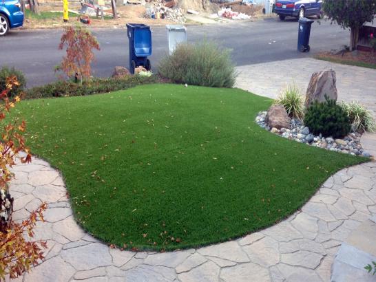 Artificial Grass Photos: Artificial Grass Carpet West Haven-Sylvan, Oregon Design Ideas