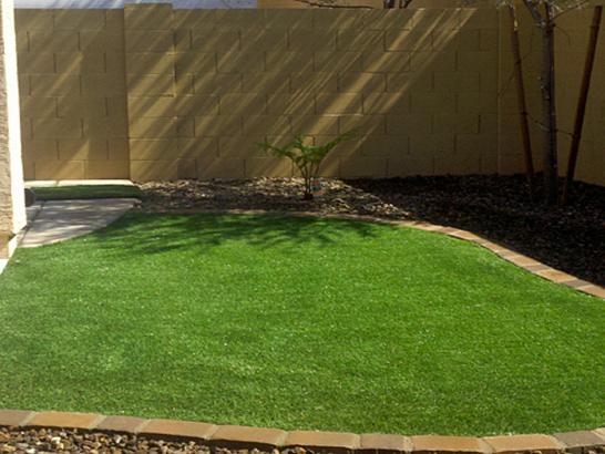 Artificial Grass Photos: Artificial Grass Carpet Wood Village, Oregon Lawns, Backyard Landscape Ideas