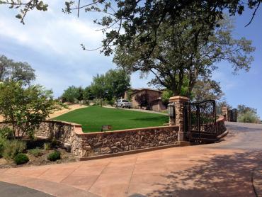 Artificial Grass Photos: Artificial Grass Corvallis, Oregon Paver Patio, Front Yard Landscaping Ideas