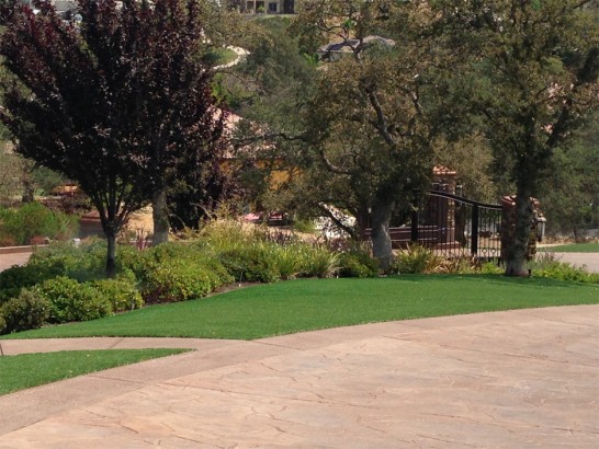 Artificial Grass Photos: Artificial Grass Hammond, Oregon Landscape Photos, Backyard Design