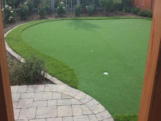 Artificial Grass Photos: Artificial Grass Installation Lonerock, Oregon Best Indoor Putting Green, Backyard Landscaping Ideas