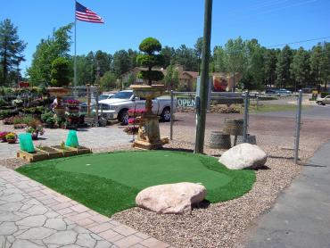 Artificial Grass Photos: Artificial Grass Installation Yoncalla, Oregon Home Putting Green, Commercial Landscape