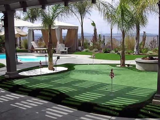 Artificial Grass Photos: Artificial Grass Keizer, Oregon Design Ideas, Pool Designs