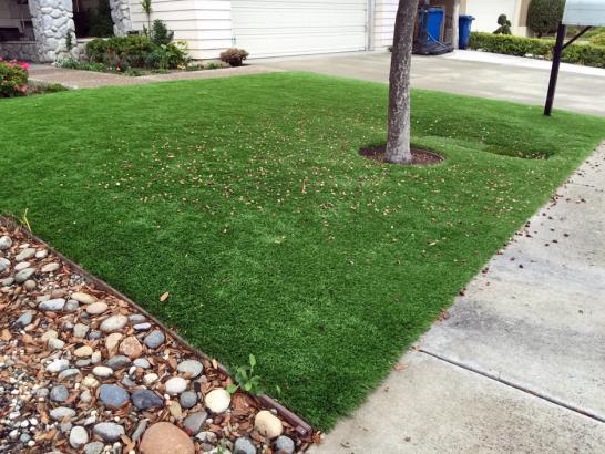 Artificial Grass Photos: Artificial Grass Mount Angel, Oregon Backyard Playground, Front Yard Ideas