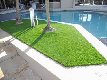 Artificial Grass Photos: Artificial Grass Newberg, Oregon Home And Garden, Backyard Designs