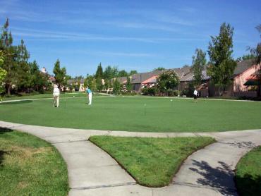 Artificial Grass Photos: Artificial Grass Saint Paul, Oregon Landscape Ideas, Commercial Landscape