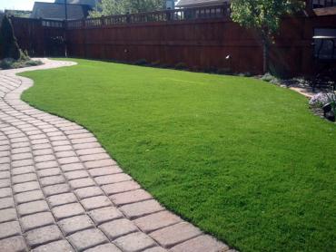 Artificial Grass Photos: Artificial Grass Silverton, Oregon Design Ideas, Backyard Landscaping