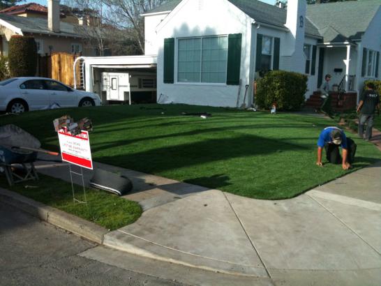 Artificial Grass Photos: Artificial Grass Waldport, Oregon Lawn And Garden, Front Yard Ideas