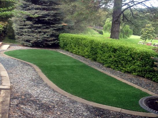 Artificial Grass Photos: Artificial Grass Winston, Oregon Backyard Playground