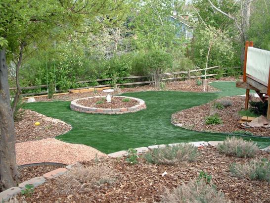 Artificial Grass Photos: Artificial Lawn Beaver, Oregon Home And Garden, Backyard Garden Ideas