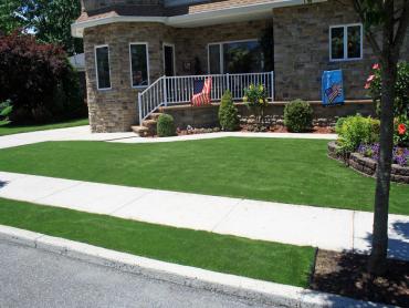 Artificial Grass Photos: Artificial Lawn Forest Grove, Oregon Roof Top, Small Front Yard Landscaping