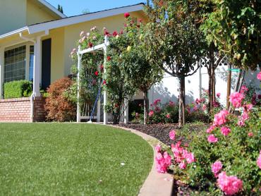 Artificial Grass Photos: Artificial Lawn Hood River, Oregon Roof Top, Front Yard Design