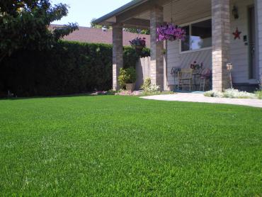 Artificial Grass Photos: Artificial Lawn Ione, Oregon Landscape Design, Small Front Yard Landscaping