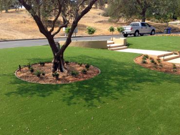 Artificial Grass Photos: Artificial Lawn Jennings Lodge, Oregon Landscaping Business, Front Yard Landscape Ideas