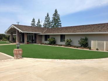 Artificial Grass Photos: Artificial Lawn Lincoln City, Oregon Garden Ideas, Front Yard Landscape Ideas