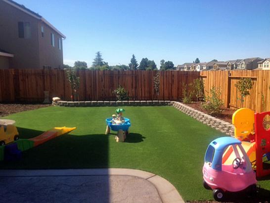 Artificial Grass Photos: Artificial Lawn Mount Vernon, Oregon Landscaping Business, Small Backyard Ideas