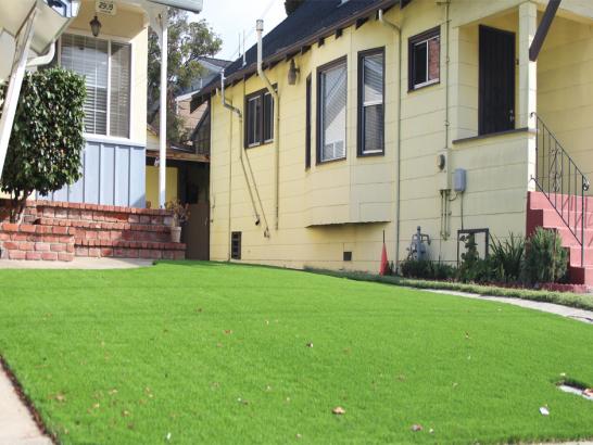 Artificial Grass Photos: Artificial Lawn Warren, Oregon Roof Top, Front Yard Ideas