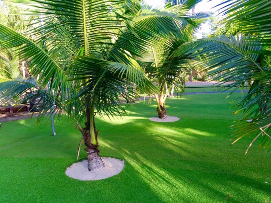 Artificial Grass Photos: Artificial Lawn Yachats, Oregon Backyard Playground, Commercial Landscape