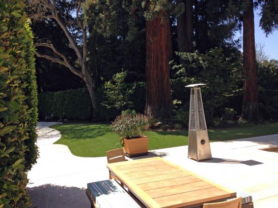 Artificial Grass Photos: Artificial Turf Alpine, Oregon Lawn And Garden, Backyard Makeover