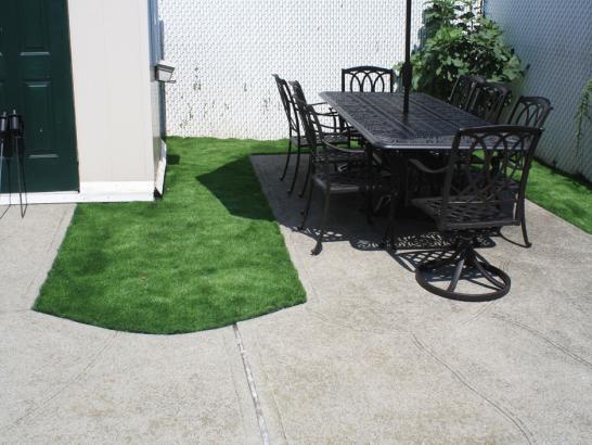 Artificial Grass Photos: Artificial Turf Alsea, Oregon Home And Garden, Backyard Landscape Ideas