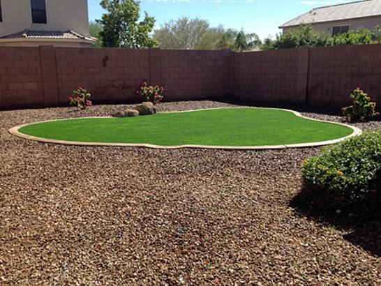 Artificial Grass Photos: Artificial Turf Cascade Locks, Oregon Rooftop, Backyard Design