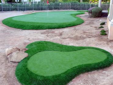 Artificial Grass Photos: Artificial Turf Cayuse, Oregon How To Build A Putting Green, Front Yard Ideas