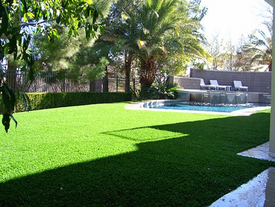 Artificial Grass Photos: Artificial Turf Cost Alsea, Oregon Backyard Deck Ideas, Above Ground Swimming Pool