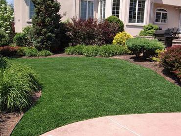 Artificial Grass Photos: Artificial Turf Cost Beaver, Oregon Paver Patio, Front Yard