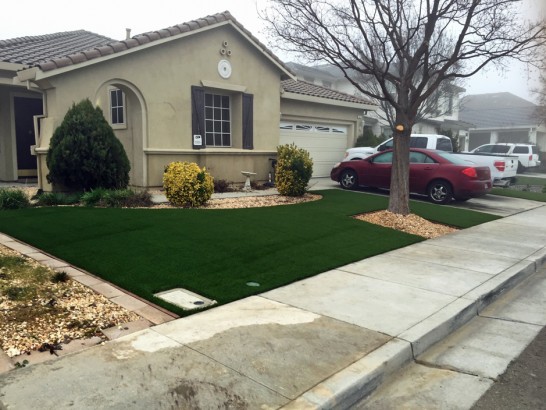 Artificial Grass Photos: Artificial Turf Cost Bellfountain, Oregon Lawn And Landscape, Front Yard