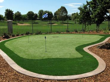 Artificial Grass Photos: Artificial Turf Cost Donald, Oregon Putting Green Carpet, Backyard Garden Ideas