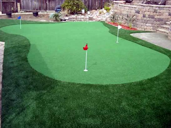 Artificial Grass Photos: Artificial Turf Cost Eola, Oregon Lawn And Garden, Small Backyard Ideas