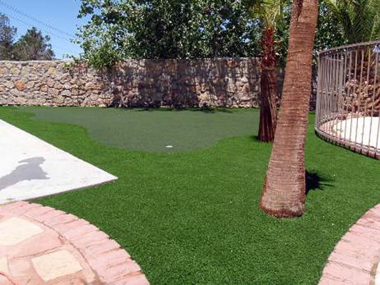 Artificial Turf Cost Gresham, Oregon Backyard Deck Ideas, Backyard artificial grass