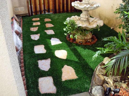 Artificial Grass Photos: Artificial Turf Cost Hebo, Oregon Home And Garden, Backyard Design
