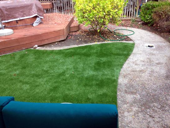 Artificial Grass Photos: Artificial Turf Cost Oregon City, Oregon Backyard Playground, Backyard Garden Ideas