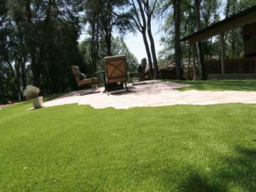 Artificial Grass Photos: Artificial Turf Cost Rufus, Oregon Design Ideas, Backyard Design