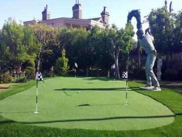 Artificial Grass Photos: Artificial Turf Cost Salem, Oregon Gardeners, Backyards