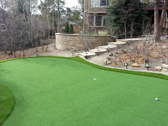 Artificial Grass Photos: Artificial Turf Cost Tillamook, Oregon Garden Ideas, Backyard Design