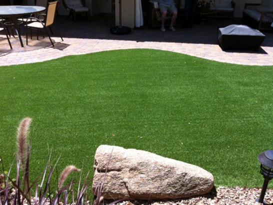 Artificial Grass Photos: Artificial Turf Cost Warm Springs, Oregon Fake Grass For Dogs, Backyard Landscaping Ideas