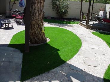 Artificial Grass Photos: Artificial Turf Dunes City, Oregon Lawn And Landscape, Small Backyard Ideas