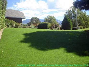 Artificial Grass Photos: Artificial Turf Garden Home-Whitford, Oregon Indoor Dog Park, Backyard Garden Ideas