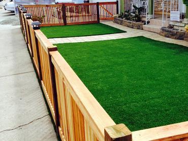 Artificial Grass Photos: Artificial Turf Installation Brooks, Oregon Lawn And Garden, Front Yard